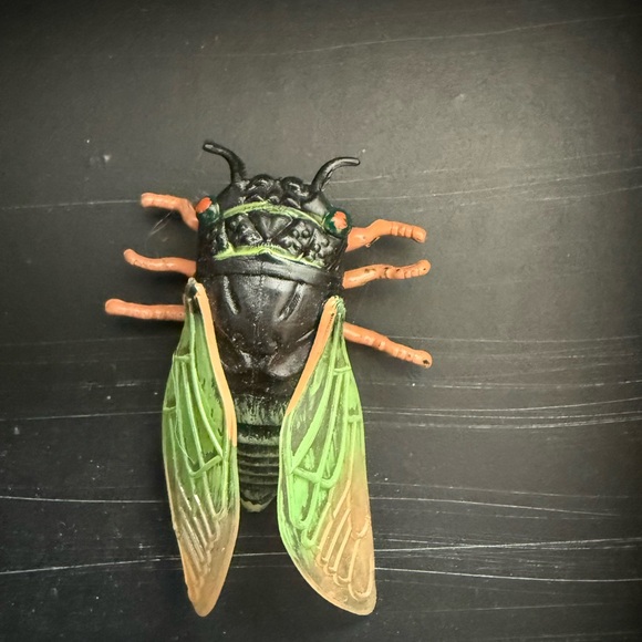 Insect Shadow Box - Picture 6 of 6